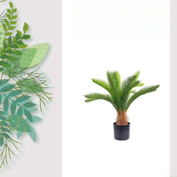 Cycad GreenPot - Image 2