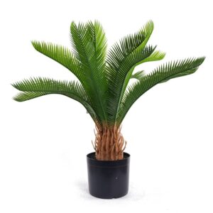 Cycad GreenPot